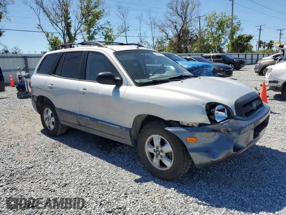 2006 Hyundai Santa Fe GLS with VIN KM8SC73D06U109403, listed as a Copart auction lot 49452365 with 138,445 mi miles and Salvage Title. Bid and sale history available at carsss.com. Image 4.