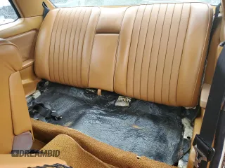 1979 Mercedes-Benz C with VIN 12315012003001, listed as a Copart auction lot 57227575 with 112,248 mi miles and Non repairable. Bid and sale history available at DreamBid. Image 10.