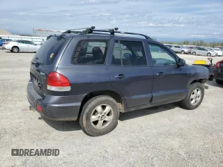 2005 Hyundai Santa Fe GLS with VIN KM8SC73D25U868391, listed as a Copart auction lot 50810045 with 119,074 mi miles and Salvage Title. Bid and sale history available at carsss.com. Image 3.