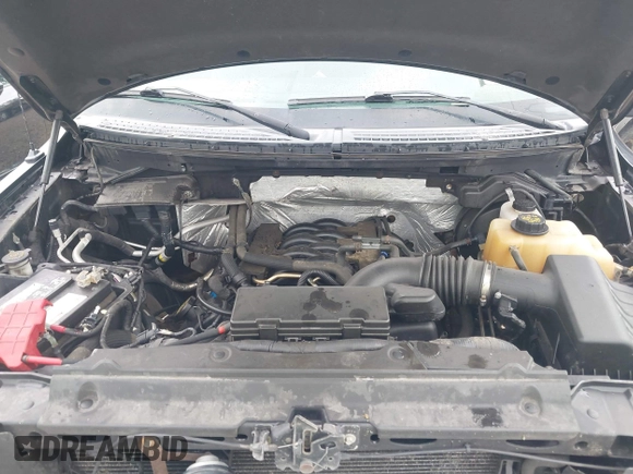 2011 Ford F-150 XL with VIN 1FTFX1EF5BFA76936, listed as a IAAI auction lot 42174240 with 132,419 mi miles and . Bid and sale history available at DreamBid. Image 10.
