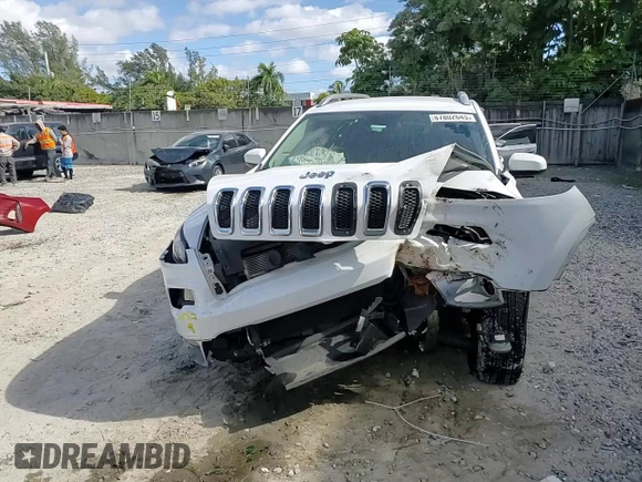 2018 Jeep Cherokee Latitude with VIN 1C4PJLCXXJD551696, listed as a Copart auction lot 87802645 with Not provided miles and Salvage title. Bid and sale history available at DreamBid. Image 12.
