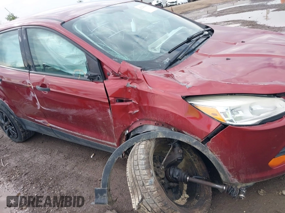 2015 Ford Escape S with VIN 1FMCU0F70FUB78610, listed as a IAAI auction lot 42225098 with 209,248 mi miles and . Bid and sale history available at DreamBid. Image 6.