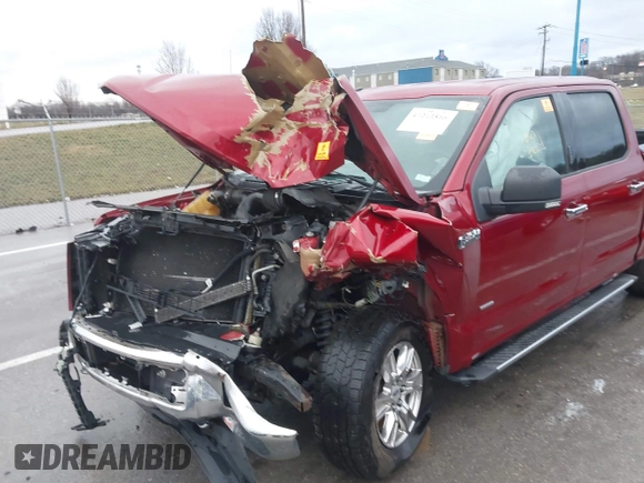 2016 Ford F-150 XLT with VIN 1FTEW1EP7GKD30796, listed as a IAAI auction lot 41213566 with Not provided miles and . Bid and sale history available at DreamBid. Image 6.