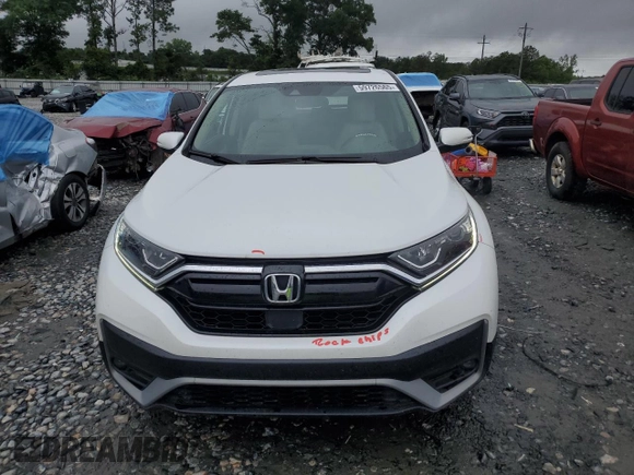 2020 Honda CR-V EX with VIN 7FARW1H59LE004988, listed as a Copart auction lot 59726565 with 38,136 mi miles and Salvage title. Bid and sale history available at DreamBid. Image 5.