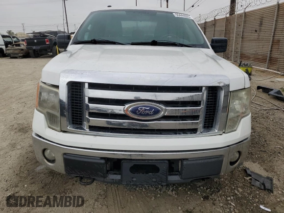 2011 Ford F-150 XL with VIN 1FTFX1EF3BKE18049, listed as a Copart auction lot 55444655 with 243,094 mi miles and Clean Title. Bid and sale history available at DreamBid. Image 5.