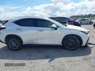 2024 Lexus NX 250 with VIN JTJADCAZ7R5022145, listed as a IAAI auction lot 41688698 with 5,699 mi miles and . Bid and sale history available at DreamBid. Image 13.