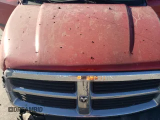 2006 Dodge Durango SXT with VIN 1D4HD38K46F140172, listed as a Copart auction lot 76896964 with Not provided miles and Salvage title. Bid and sale history available at DreamBid. Image 13.