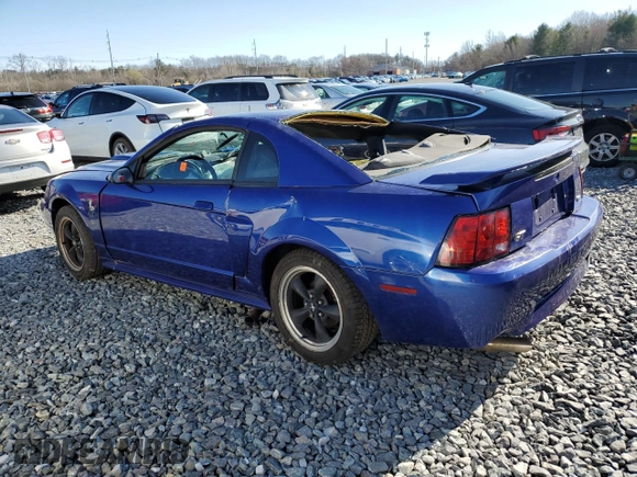2002 Ford Mustang GT Deluxe with VIN 1FAFP42X12F193272, listed as a Copart auction lot 48778015 with 0 mi miles and Clean Title. Bid and sale history available at carsss.com. Image 2.