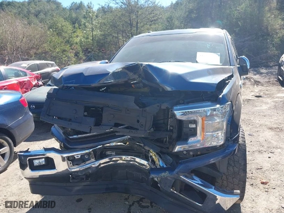 2018 Ford F-150 XL with VIN 1FTEW1EP6JFB30184, listed as a IAAI auction lot 41686597 with 123,148 mi miles. Bid and sale history available at carsss.com. Image 12.