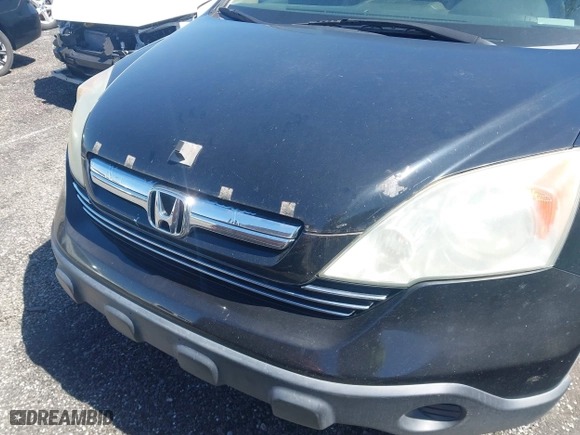 2009 Honda CR-V EX-L with VIN 5J6RE48749L018251, listed as a IAAI auction lot 41559710 with 1 mi miles. Bid and sale history available at carsss.com. Image 6.
