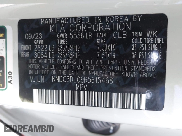 2024 Kia EV6 Wind with VIN KNDC3DLC9R5615468, listed as a IAAI auction lot 41459807 with 22,159 mi miles. Bid and sale history available at carsss.com. Image 9.