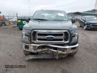 2016 Ford F-150 XLT with VIN 1FTEX1E8XGFD02909, listed as a IAAI auction lot 41965770 with 139,113 mi miles and . Bid and sale history available at DreamBid. Image 12.