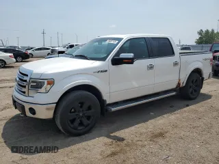 2013 Ford F-150 XL with VIN 1FTFW1EF6DKF53449, listed as a Copart auction lot 59697185 with 166,302 mi miles and Salvage title. Bid and sale history available at DreamBid. Image 1.