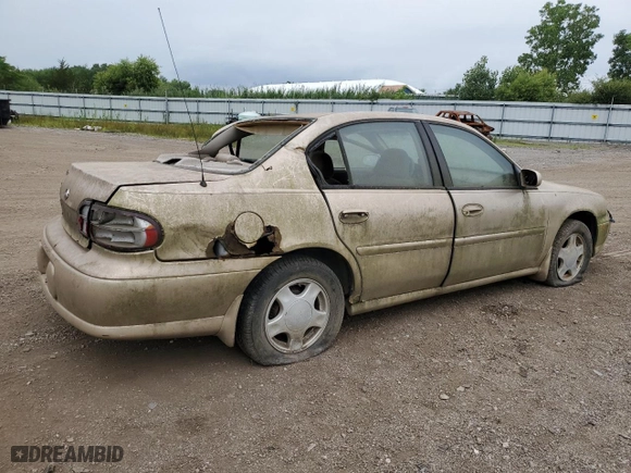 2002 Chevrolet Malibu LS with VIN 1G1NE52J62M621533, listed as a Copart auction lot 71825714 with 0 mi miles and Salvage Title. Bid and sale history available at carsss.com. Image 3.