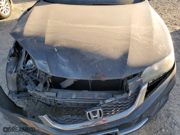 2013 Honda Accord Cpe EX-L with VIN 1HGCT1B85DA013227, listed as a Copart auction lot 42217315 with 124,755 mi miles and Salvage Title. Bid and sale history available at carsss.com. Image 11.