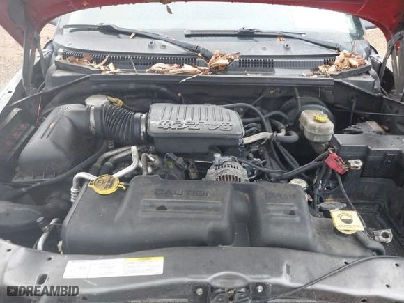 2004 Dodge Dakota SLT with VIN 1D7HL48N34S750719, listed as a IAAI auction lot 41135108 with 1 mi miles. Bid and sale history available at carsss.com. Image 10.