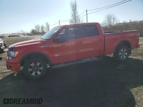 2013 Ford F-150 XL with VIN 1FTFW1ET5DFD18894, listed as a Copart auction lot 49705005 with 232,384 mi miles and Salvage Title. Bid and sale history available at carsss.com. Image 1.
