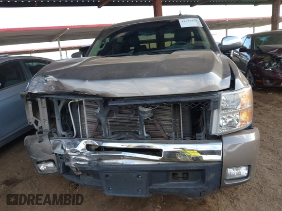 2013 Chevrolet Silverado 1500 LT with VIN 3GCPCSE00DG110686, listed as a IAAI auction lot 42034864 with 225,135 mi miles and . Bid and sale history available at DreamBid. Image 6.