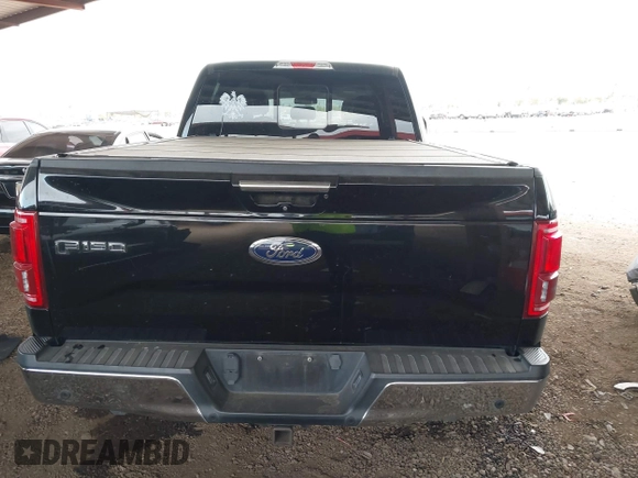 2016 Ford F-150 XLT with VIN 1FTFW1EG2GKD23694, listed as a IAAI auction lot 41573365 with 112,934 mi miles. Bid and sale history available at carsss.com. Image 16.