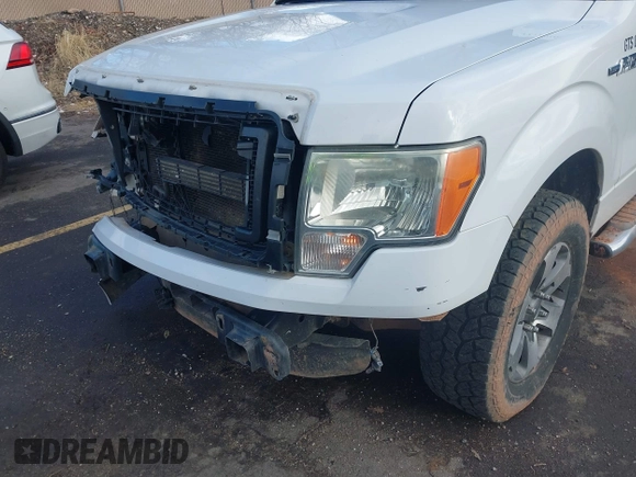 2014 Ford F-150 XL with VIN 1FTEX1CM5EFC95493, listed as a IAAI auction lot 41180683 with 150,260 mi miles and . Bid and sale history available at DreamBid. Image 10.