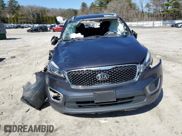 2017 Kia Sorento LX with VIN 5XYPGDA3XHG288867, listed as a Copart auction lot 49844105 with 0 mi miles and Salvage Title. Bid and sale history available at carsss.com. Image 5.