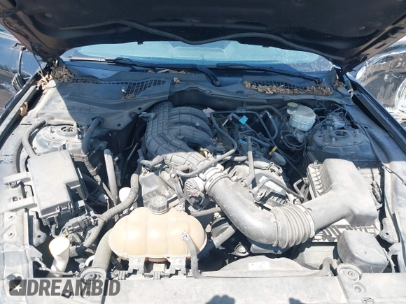 2017 Ford Mustang V6 with VIN 1FA6P8AM8H5342693, listed as a IAAI auction lot 41985156 with 110,733 mi miles and . Bid and sale history available at carsss.com. Image 10.