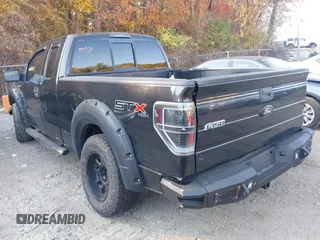 2010 Ford F-150 XL z VIN 1FTEX1EW3AFB48534, wystawiony jako IAAI lot #40646062 z przebiegiem 138 625 mil mil oraz . Historia ofert i sprzedaży dostępna na DreamBid. Obrazek 3.