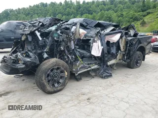 2024 Ford F-250 XL with VIN 1FT7W2BN7RED50176, listed as a Copart auction lot 59091155 with Not provided miles and Salvage title. Bid and sale history available at DreamBid. Image 1.