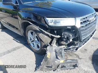 2019 Audi Q5 Premium with VIN WA1ANAFY2K2122904, listed as a IAAI auction lot 42262456 with 114,742 mi miles and . Bid and sale history available at DreamBid. Image 6.