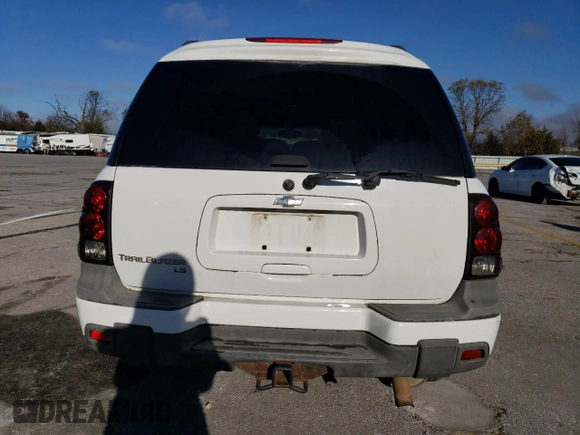 2006 Chevrolet TrailBlazer LS with VIN 1GNET16S266105051, listed as a Copart auction lot 79528534 with 223,228 mi miles and Salvage Title. Bid and sale history available at DreamBid. Image 6.