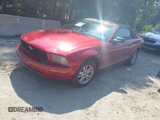 2006 Ford Mustang Standard with VIN 1ZVFT84N865222011, listed as a IAAI auction lot 42523400 with 234,756 mi miles and . Bid and sale history available at DreamBid. Image 17.