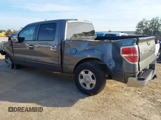 2010 Ford F-150 XL with VIN 1FTEW1C88AFA71456, listed as a IAAI auction lot 40961828 with 219,113 mi miles. Bid and sale history available at carsss.com. Image 3.
