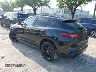2019 Alfa Romeo Stelvio Ti with VIN ZASPAKBN6K7C46780, listed as a IAAI auction lot 41925163 with Not provided miles and . Bid and sale history available at DreamBid. Image 3.