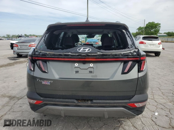 2023 Hyundai Tucson Limited with VIN 5NMJE3AEXPH263835, listed as a Copart auction lot 54133965 with 25,661 mi miles and Salvage title. Bid and sale history available at DreamBid. Image 6.