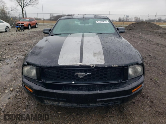 2006 Ford Mustang Standard with VIN 1ZVFT80N265241966, listed as a Copart auction lot 51570835 with 191,147 mi miles and Salvage Title. Bid and sale history available at carsss.com. Image 5.
