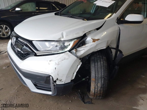 2022 Honda CR-V Special Edition with VIN 7FARW2H77NE012629, listed as a IAAI auction lot 41166357 with 38,884 mi miles. Bid and sale history available at carsss.com. Image 6.