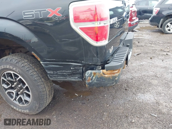 2010 Ford F-150 XL with VIN 1FTEX1E86AFD52648, listed as a IAAI auction lot 42169714 with 51,364 mi miles and . Bid and sale history available at DreamBid. Image 6.