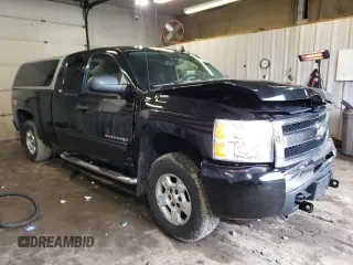 2009 Chevrolet Silverado 1500 LT with VIN 1GCEK29099Z297597, listed as a Copart auction lot 50965095 with 175,640 mi miles and Salvage Title. Bid and sale history available at DreamBid. Image 4.