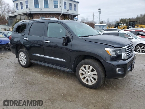 2018 Toyota Sequoia Platinum with VIN 5TDDY5G10JS161307, listed as a Copart auction lot 40646674 with 46,751 mi miles. Bid and sale history available at carsss.com. Image 4.