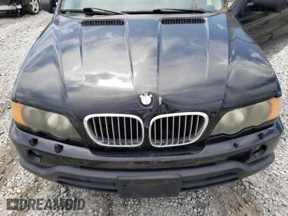 2003 BMW X5 3.0i with VIN 5UXFA535X3LV94559, listed as a Copart auction lot 66311094 with 0 mi miles and Salvage Title. Bid and sale history available at carsss.com. Image 12.