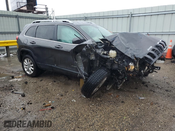 2014 Jeep Cherokee Limited with VIN 1C4PJMDS0EW241043, listed as a Copart auction lot 59284805 with Not provided miles and Salvage title. Bid and sale history available at DreamBid. Image 4.
