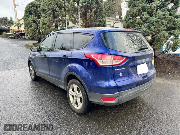 2015 Ford Escape S with VIN 1FMCU0F75FUC13139, listed as a Copart auction lot 53173055 with 0 mi miles and Clean Title. Bid and sale history available at carsss.com. Image 3.