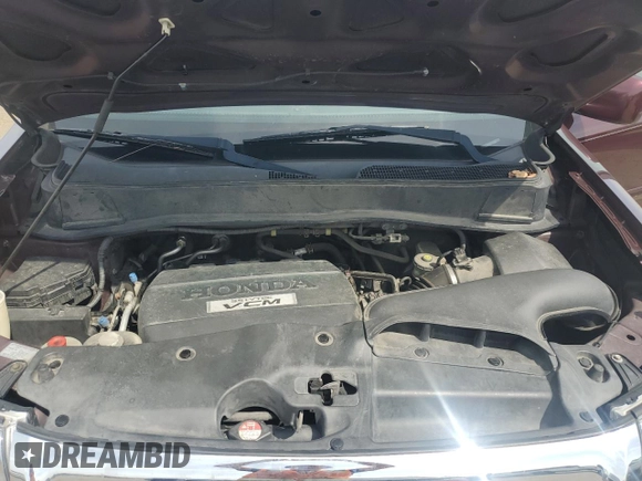 2009 Honda Pilot EX with VIN 5FNYF48469B011311, listed as a Copart auction lot 53736235 with 213,133 mi miles and Salvage Title. Bid and sale history available at DreamBid. Image 11.