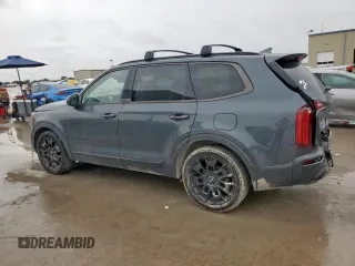 2022 Kia Telluride EX with VIN 5XYP3DHC4NG276226, listed as a Copart auction lot 60528015 with 55,306 mi miles and Salvage title. Bid and sale history available at DreamBid. Image 2.