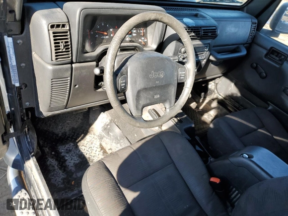 2003 Jeep Wrangler X with VIN 1J4FA39S33P357059, listed as a Copart auction lot 48983315 with 166,532 mi miles and Salvage title. Bid and sale history available at DreamBid. Image 8.