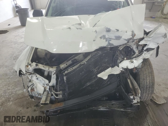 2010 Ford Escape XLS with VIN 1FMCU9C75AKD02318, listed as a Copart auction lot 59130055 with Not provided miles and Salvage title. Bid and sale history available at DreamBid. Image 12.