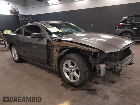 2013 Ford Mustang V6 with VIN 1ZVBP8AM5D5229655, listed as a IAAI auction lot 41824722 with 122,971 mi miles. Bid and sale history available at carsss.com. Image 1.