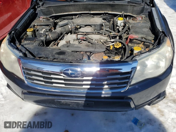 2010 Subaru Forester X Limited with VIN JF2SH6DC5AH902849, listed as a Copart auction lot 46598025 with 188,890 mi miles and Salvage Title. Bid and sale history available at DreamBid. Image 11.