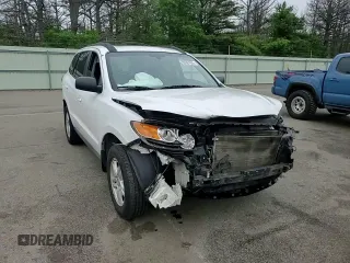2010 Hyundai Santa Fe GLS z VIN 5NMSG3AB7AH397908, wystawiony jako Copart lot #59961605 z przebiegiem 178 387 mil mil oraz Szkoda całkowita • Salvage title. Historia ofert i sprzedaży dostępna na DreamBid. Obrazek 14.