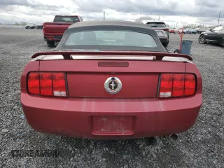 2006 Ford Mustang Standard with VIN 1ZVFT84N365233868, listed as a Copart auction lot 79687174 with 210,062 mi miles and Clean Title. Bid and sale history available at carsss.com. Image 6.